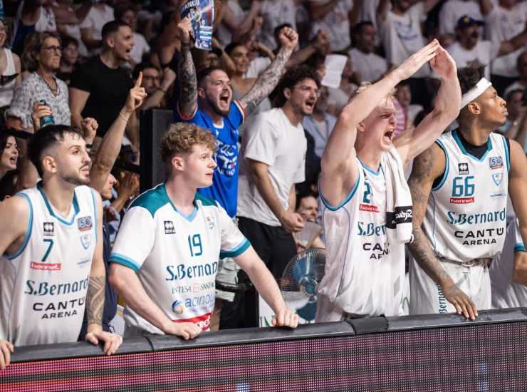 Pallacanestro