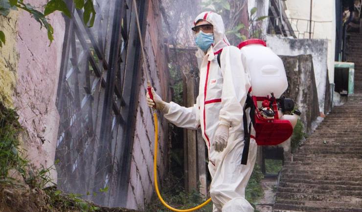 Disinfestazione - CorrierediComo.it