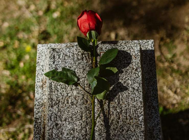 Fiore su tomba