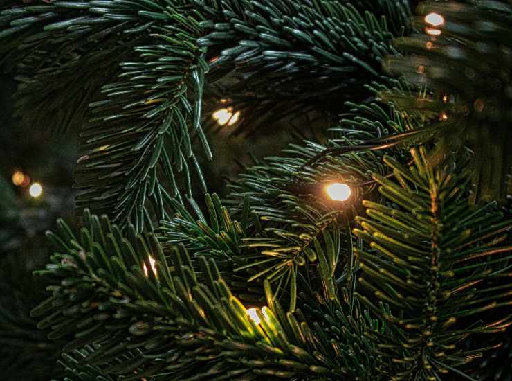 Luci di Natale