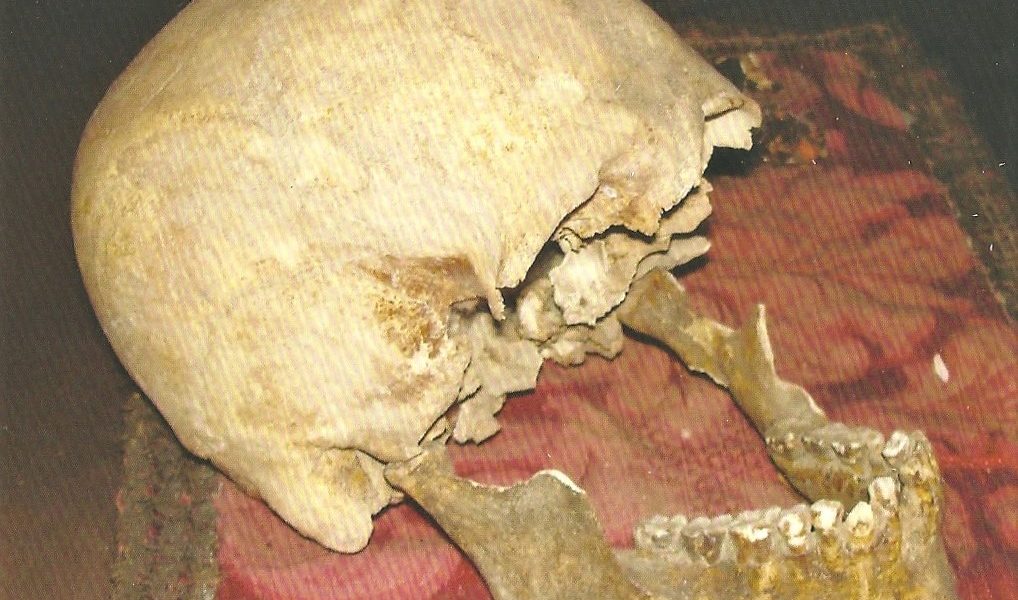 Nuove scoperte sul “cranio di Plinio”