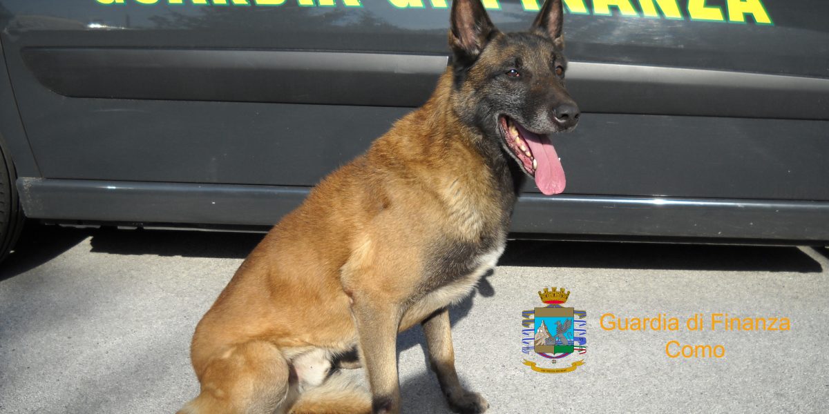 Cocaina nascosta sotto il sedile. Doppio arresto dei carabinieri a Gironico