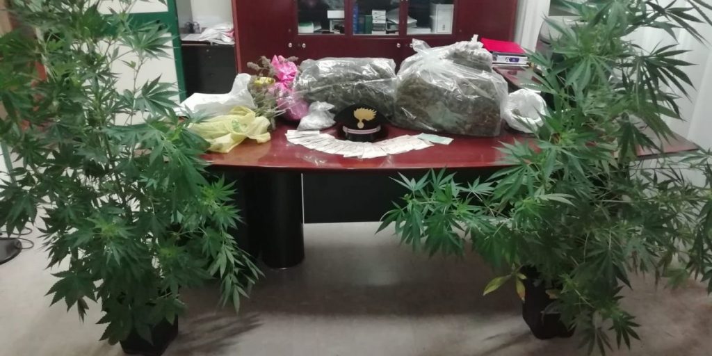 In casa a Canzo tiene 11 chili di marijuana: arrestato 44enne