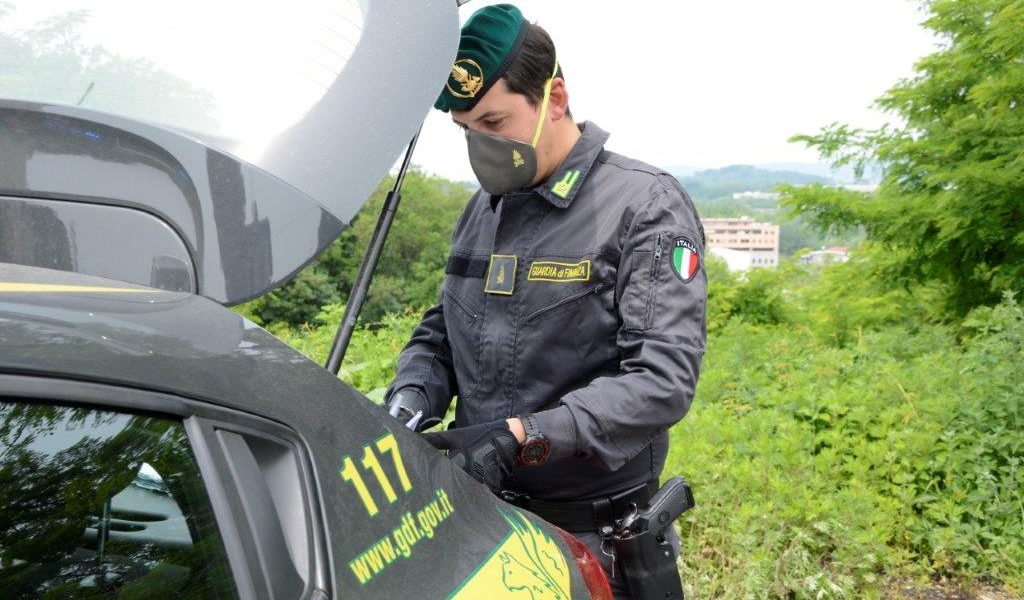 Piantagioni di marijuana in mezzo ai campi di granoturco: la finanza le scopre dal cielo