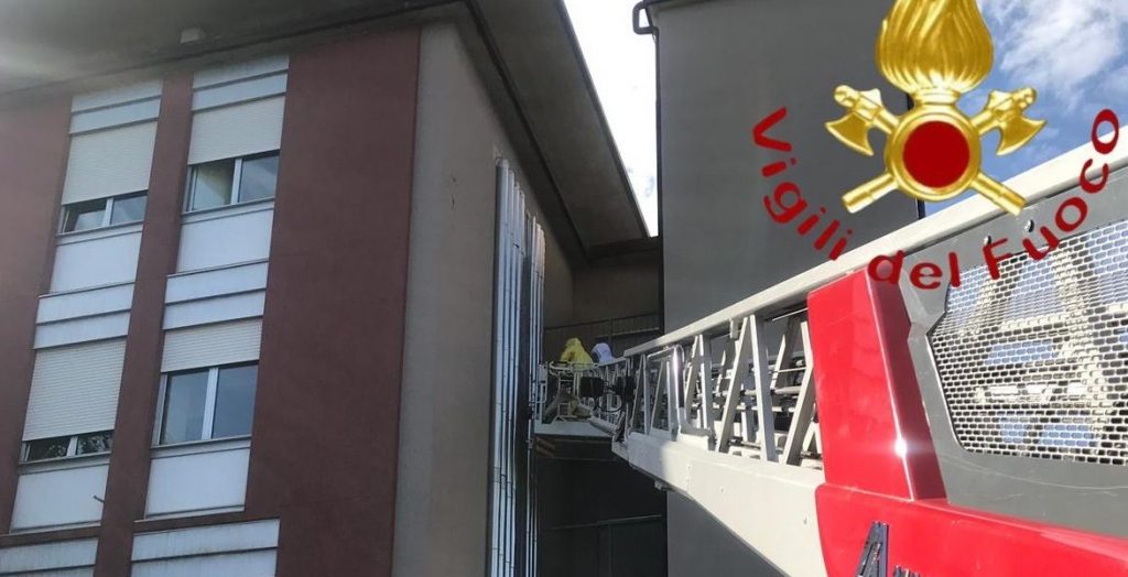 Calabroni all’ospedale di Cantù: rimosso il nido che era al terzo piano