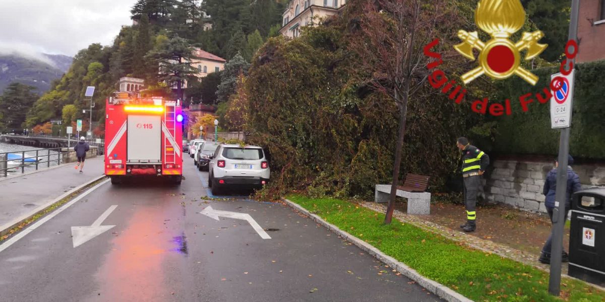 Intervento dei vigili del fuoco per rimuovere un albero caduto in viale Geno