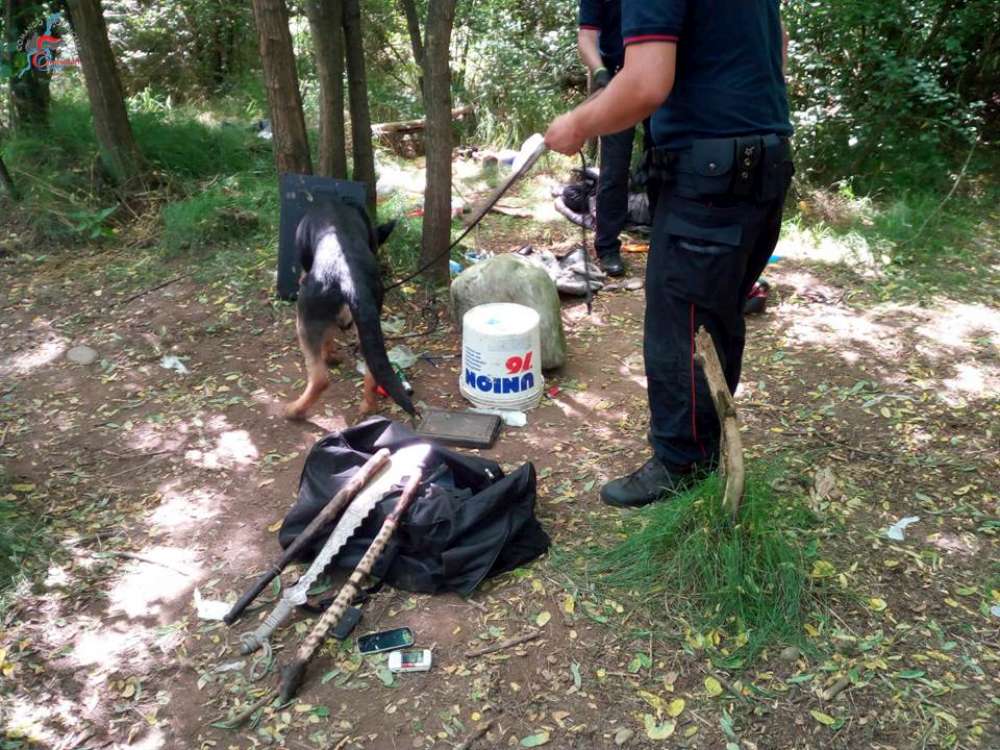 Cadorago, ancora droga nel bosco, un arresto