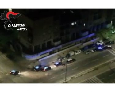 La Brianza dei caprioli