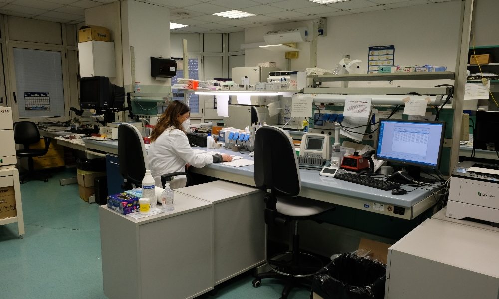 >ANSA-IL PUNTO/COVID: progetto telemedicina, Fvg da primato