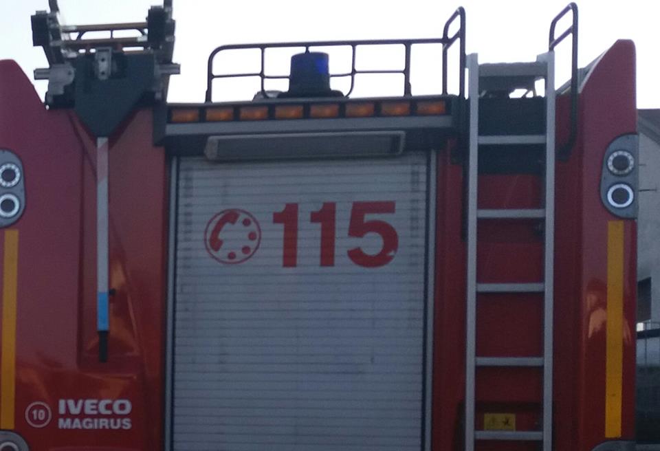 Albero sulla carreggiata: circolazione bloccata in via Cardano