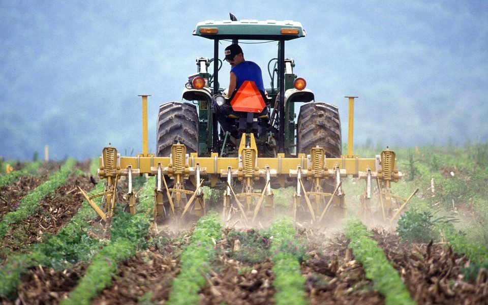 Agricoltura tra numeri positivi  e speranze.  Bando da 70 milioni per i giovani contadini