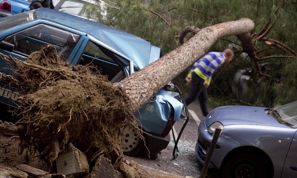 Albero cade a Napoli, un morto