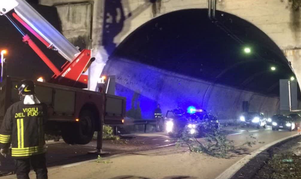 Maltempo, non è finita. Tregua solo domenica. Un albero pericolante sull’A9