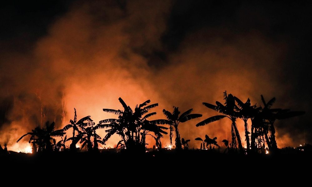 Amazzonia, +30% gli incendi boschivi