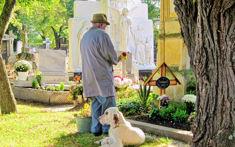 Cani e gatti sepolti con i proprietari, ora si può. Ma c’è ancora chi non esita ad abbandonarli