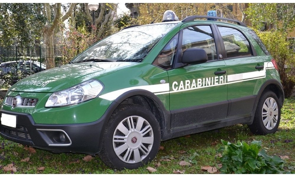 Animali: operazione Pettirosso antibracconaggio, 106 denunce