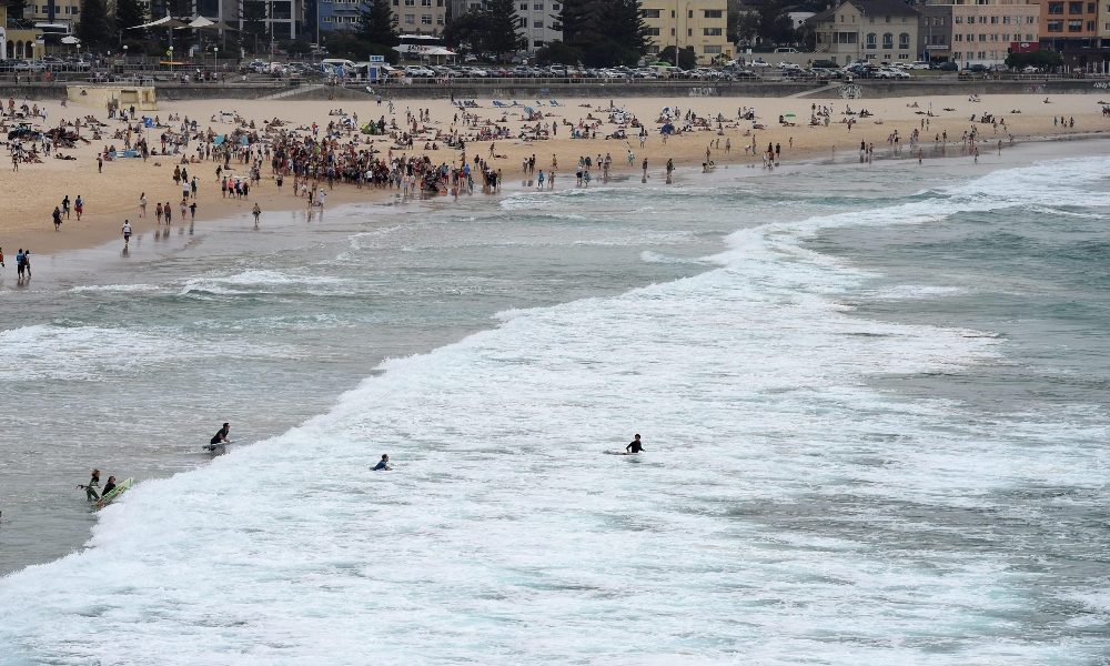 Australia: ancora un attacco di uno squalo, grave un uomo
