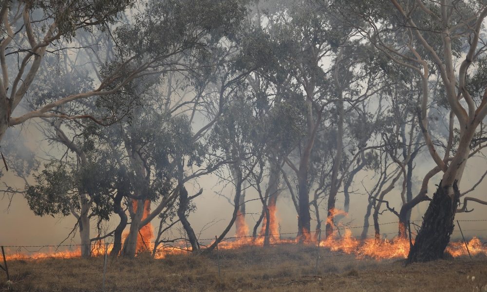 Australia: incendio fuori controllo alle porte di Perth