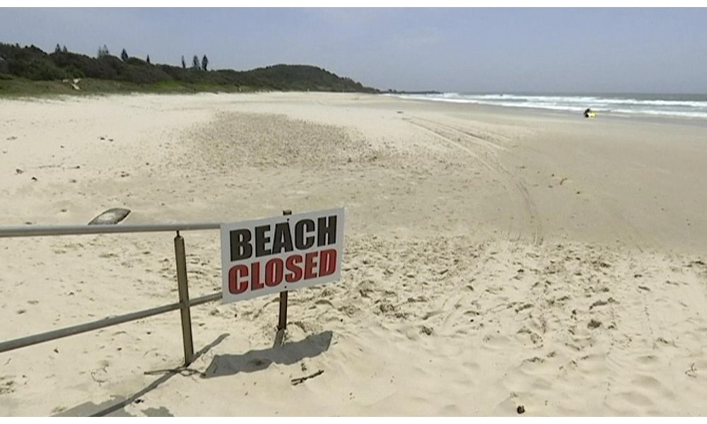 Australia: sub ucciso da uno squalo