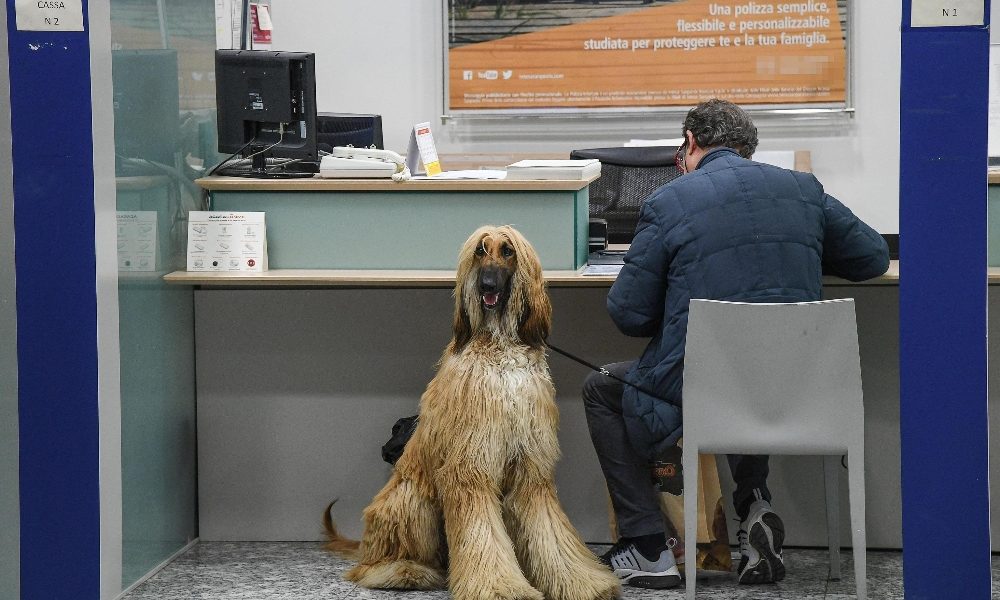 Banche: analisti,serve aumento di taglia