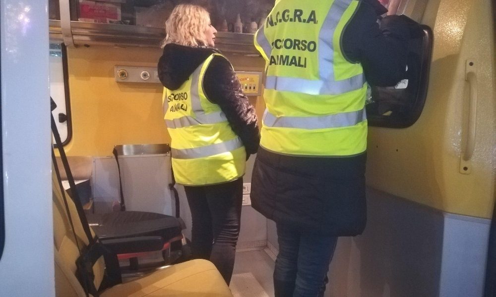 Botti: a Pisa ambulanza con i veterinari