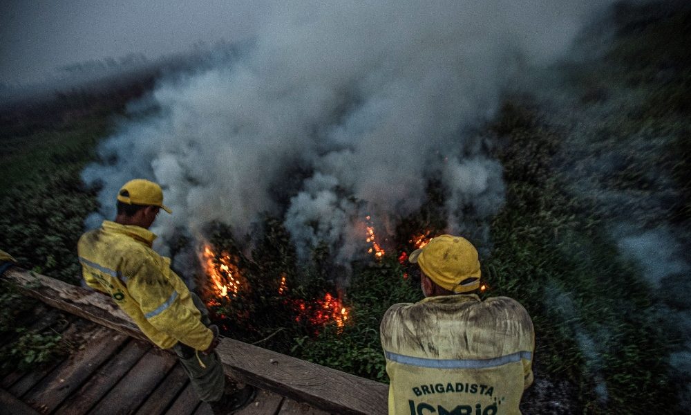 Brasile: record incendi nel Pantanal,16 mila da inizio anno