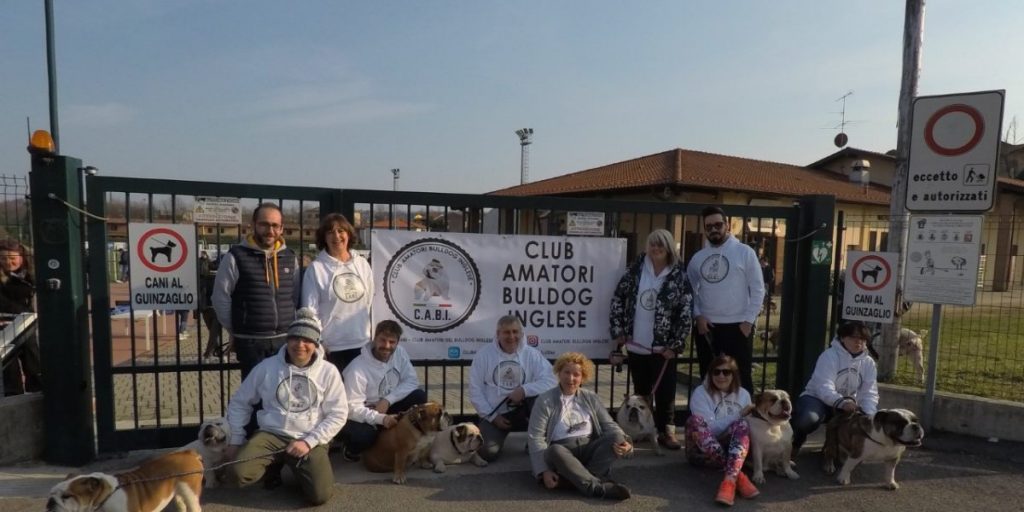 BulldogDay ad Anzano, raduno con oltre 200 cani