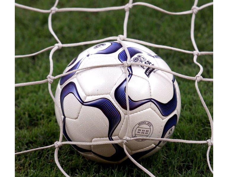 Calcio: serie B; 13 squalificati, due turni a Iemmello