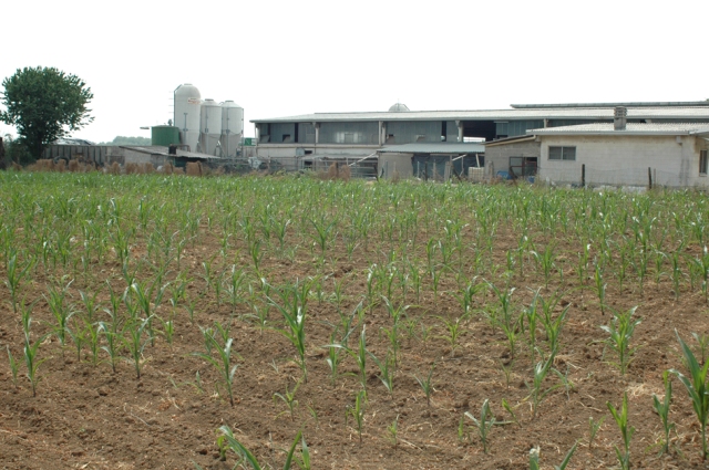 Agricoltura comasca, occupati in crescita ma export in calo