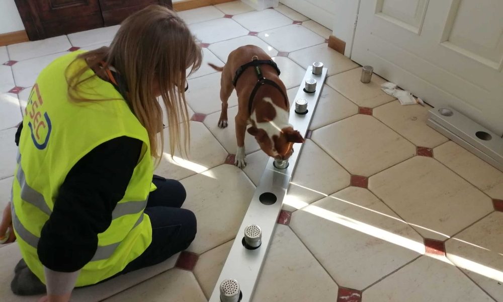 Cani anti-Covid all’aeroporto di Cuneo,prima volta in Italia