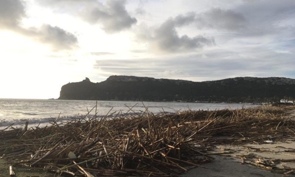 Canne su spiaggia Poetto,aperta indagine