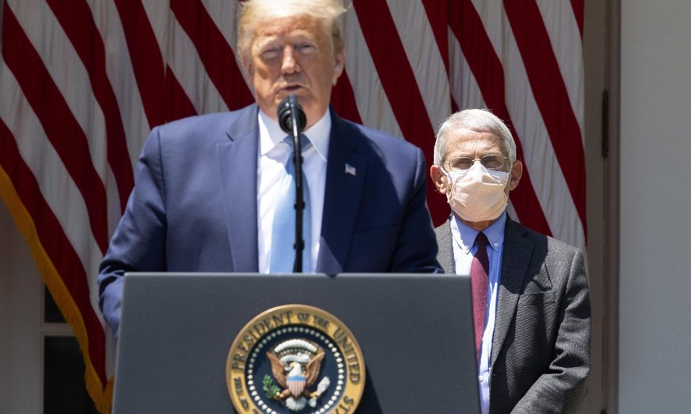 Capo polizia Houston, Trump chiudi bocca