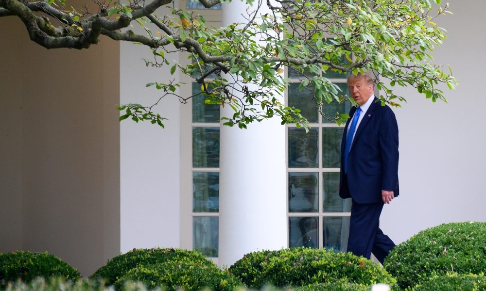 Casa Bianca,Trump accetterà risultato di un voto imparziale