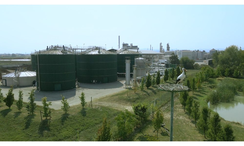Caviro, giù emissioni ed energia 100% green