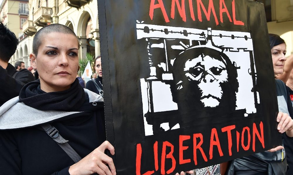 Consiglio Stato,stop esperimenti macachi