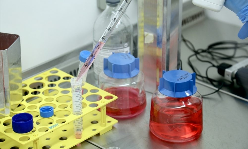 Coronavirus, 1.133 casi positivi Marche
