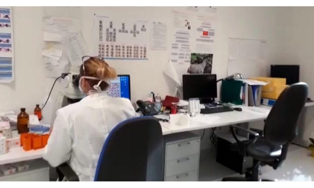 Coronavirus, 394 positivi, decessi a 13