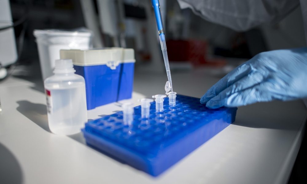 Coronavirus: 5 nuovi casi in Francia