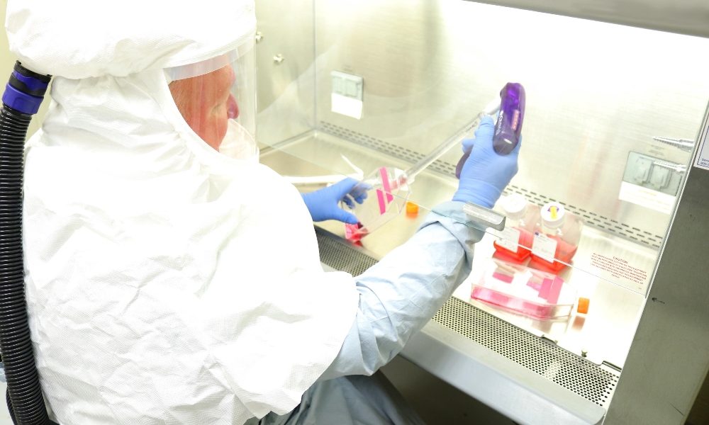 Coronavirus: 58 nuovi casi in Veneto