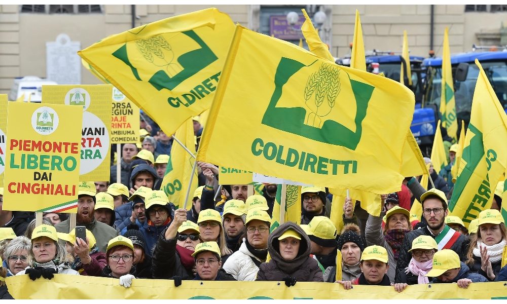 Coronavirus: Coldiretti, campi a rischio