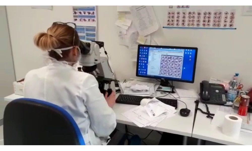 Coronavirus: Koch Institu, durerà mesi