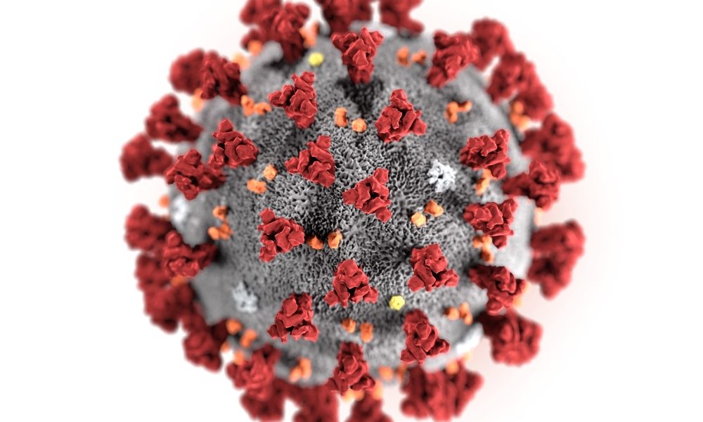 Coronavirus: fake news su festa S. Agata