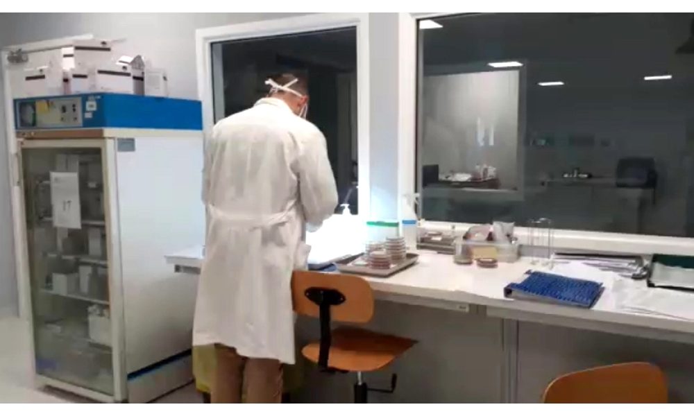Coronavirus, in Calabria 19 i positivi