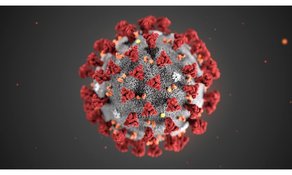 Coronavirus: test su topi possibile vacc