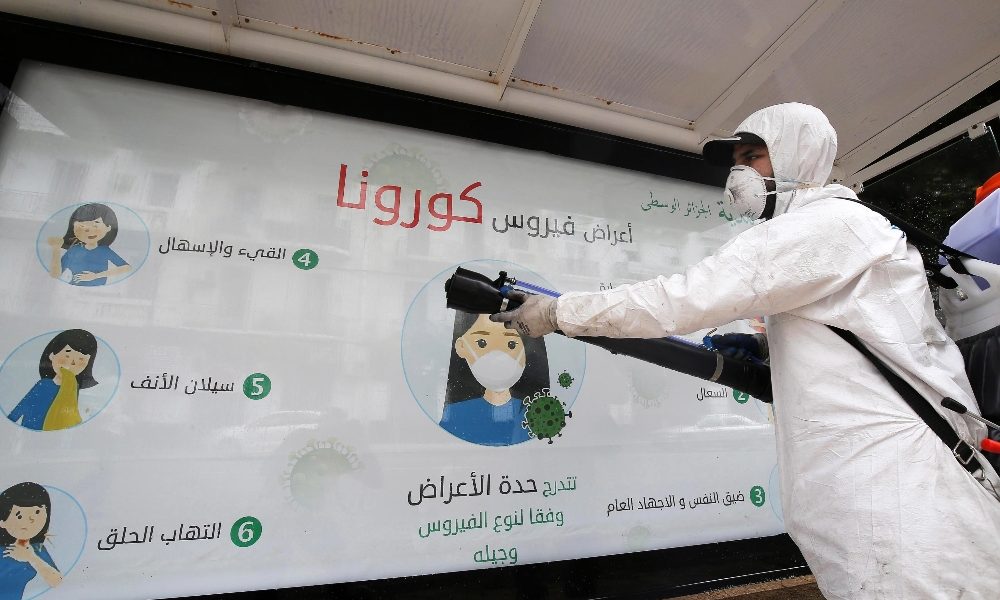 Coronavirus:Algeria, 454 casi e 29 morti