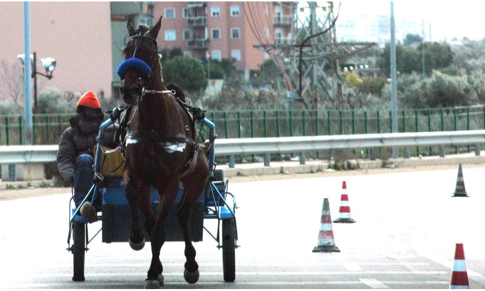Corse clandestine cavalli nell’agrigentino, blitz Polizia