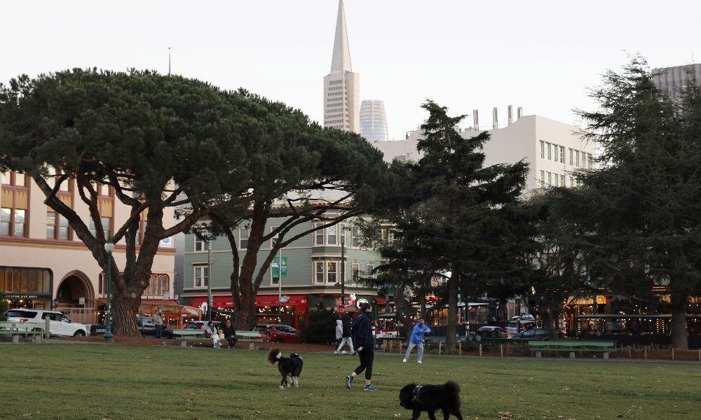Covid: Usa, l’area di San Francisco va in lockdown