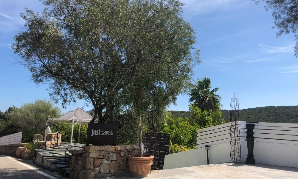 Covid: discoteche aperte Sardegna, sul web rabbia cittadini