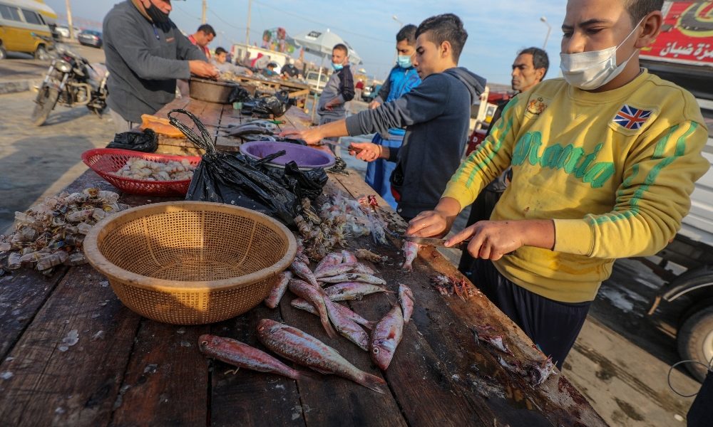 Covid: preoccupazione a Gaza, quasi 500 casi in 24 ore
