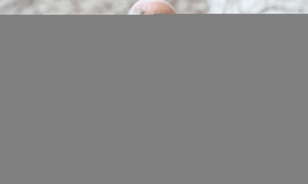 Covid: presidente Algeria convalescente torna in tv